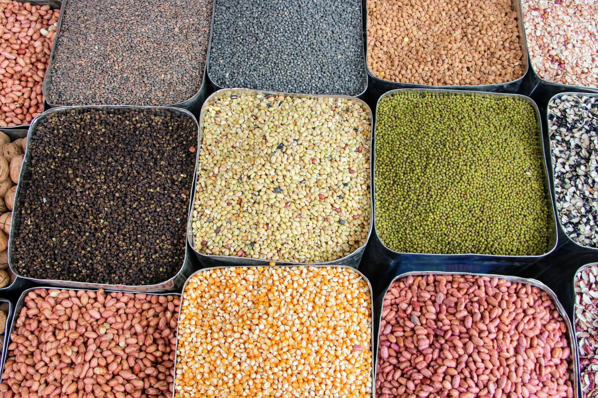 Home Indian Pulses for Export