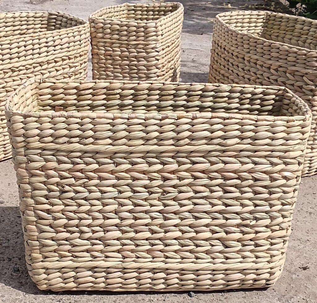 Ac5de80c 96db 40ae B7d4 A2f930eff27a 1024x979