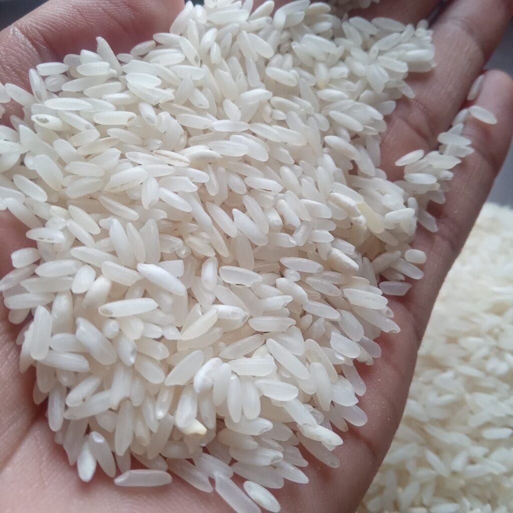 E9b28bd3 9e77 4cb7 9f4e 179c386d4fee 1024x1024