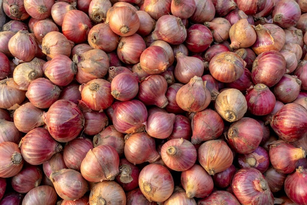 Close-up of numerous red onions piled together showcasing their fresh texture and natural hues.